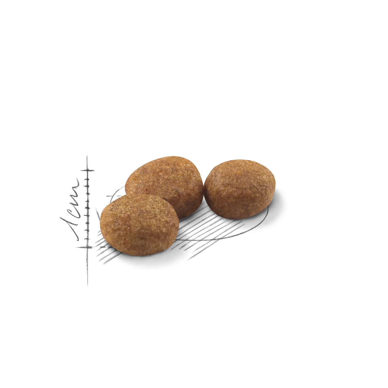 Royal Canin Sterilised 37 – Image 4