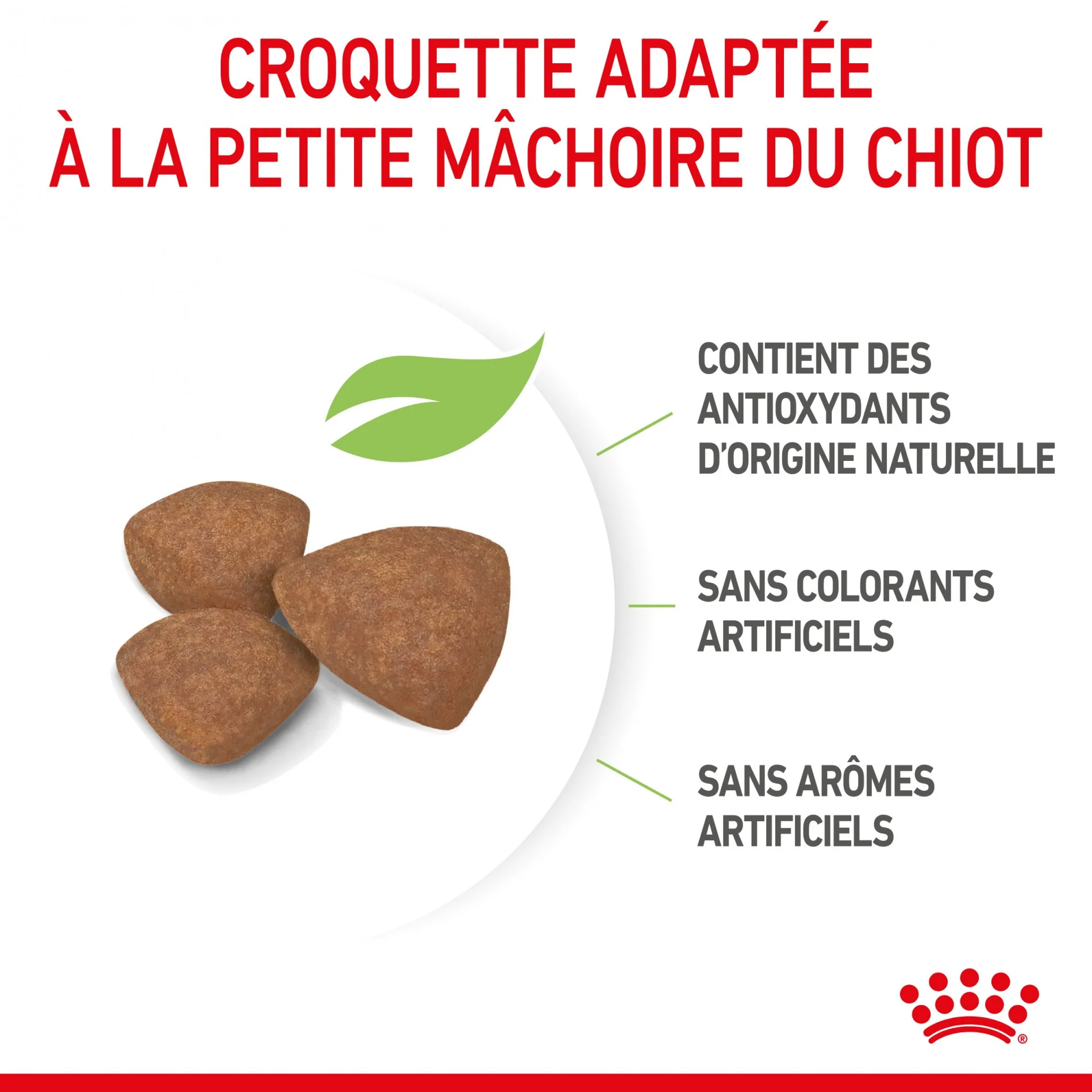 Royal Canin Mini Puppy - croquettes pour chiot – Image 6