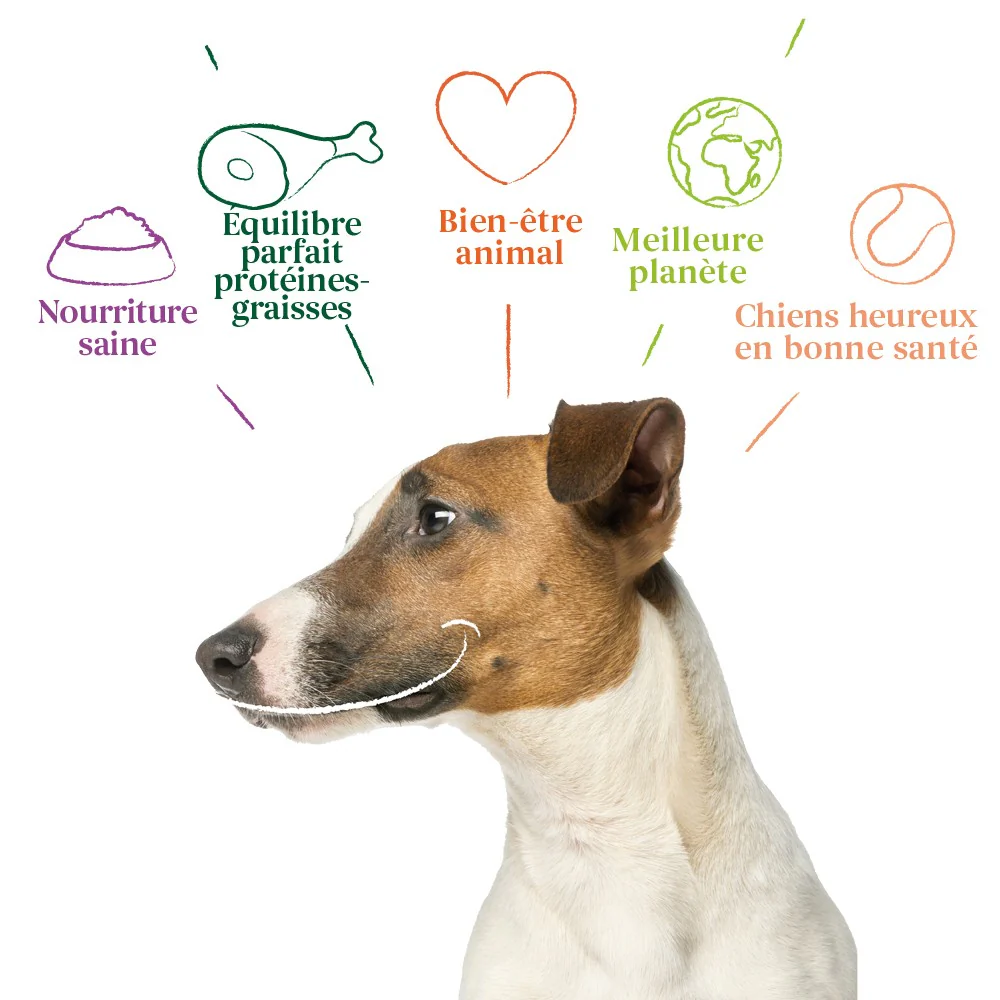 Yarrah croquettes bio pour chien de petite race – Image 5