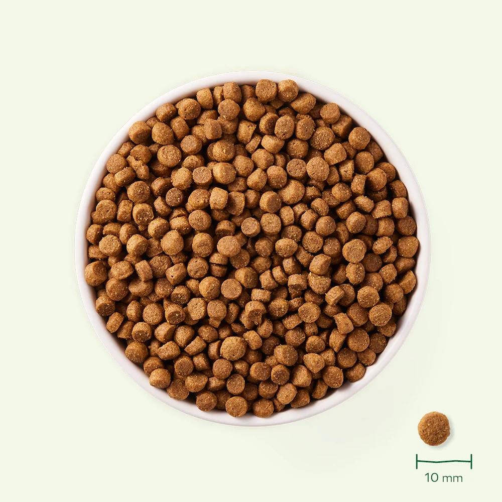 Yarrah croquettes bio pour chien de petite race – Image 6