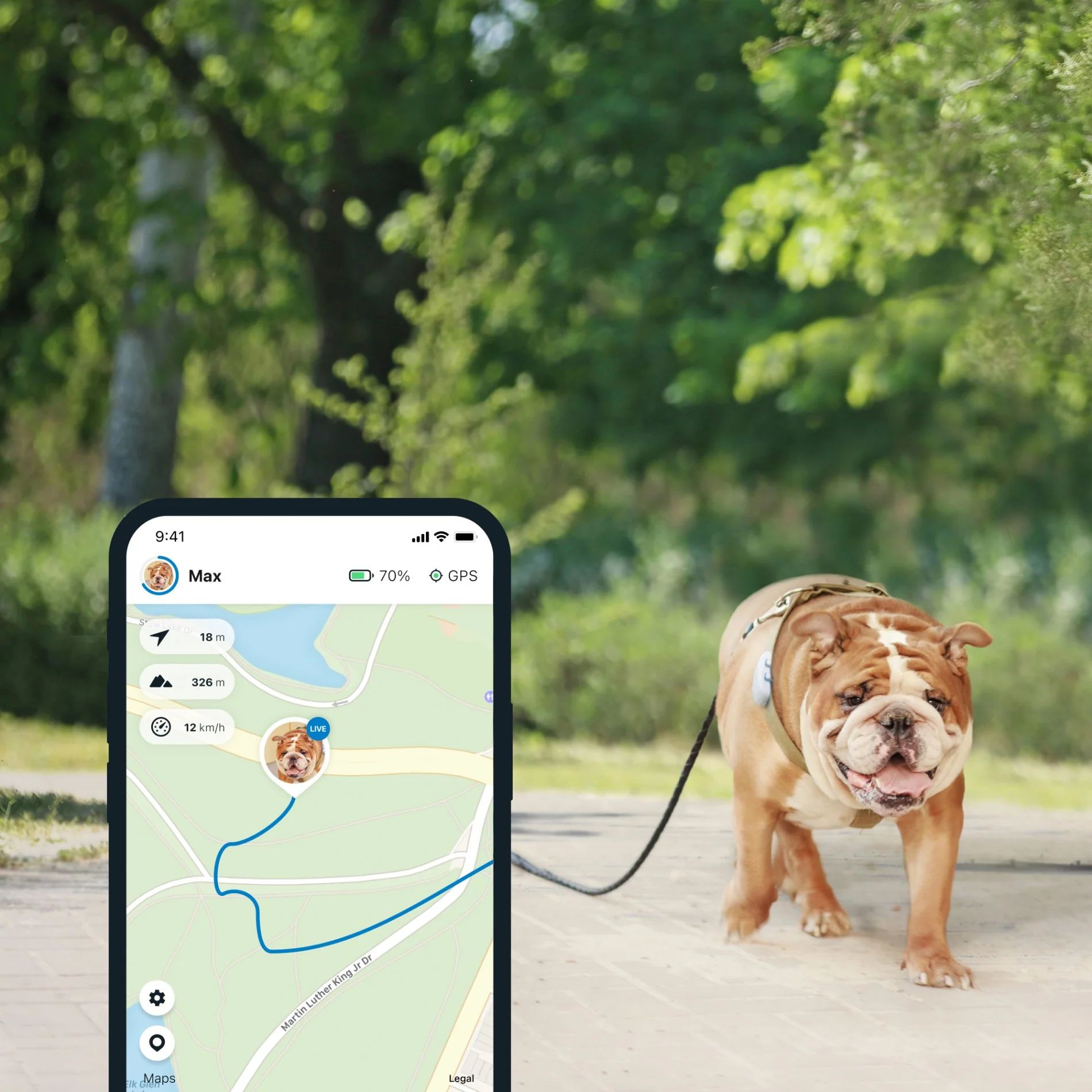 Traceur GPS 4 pour chien – Image 7