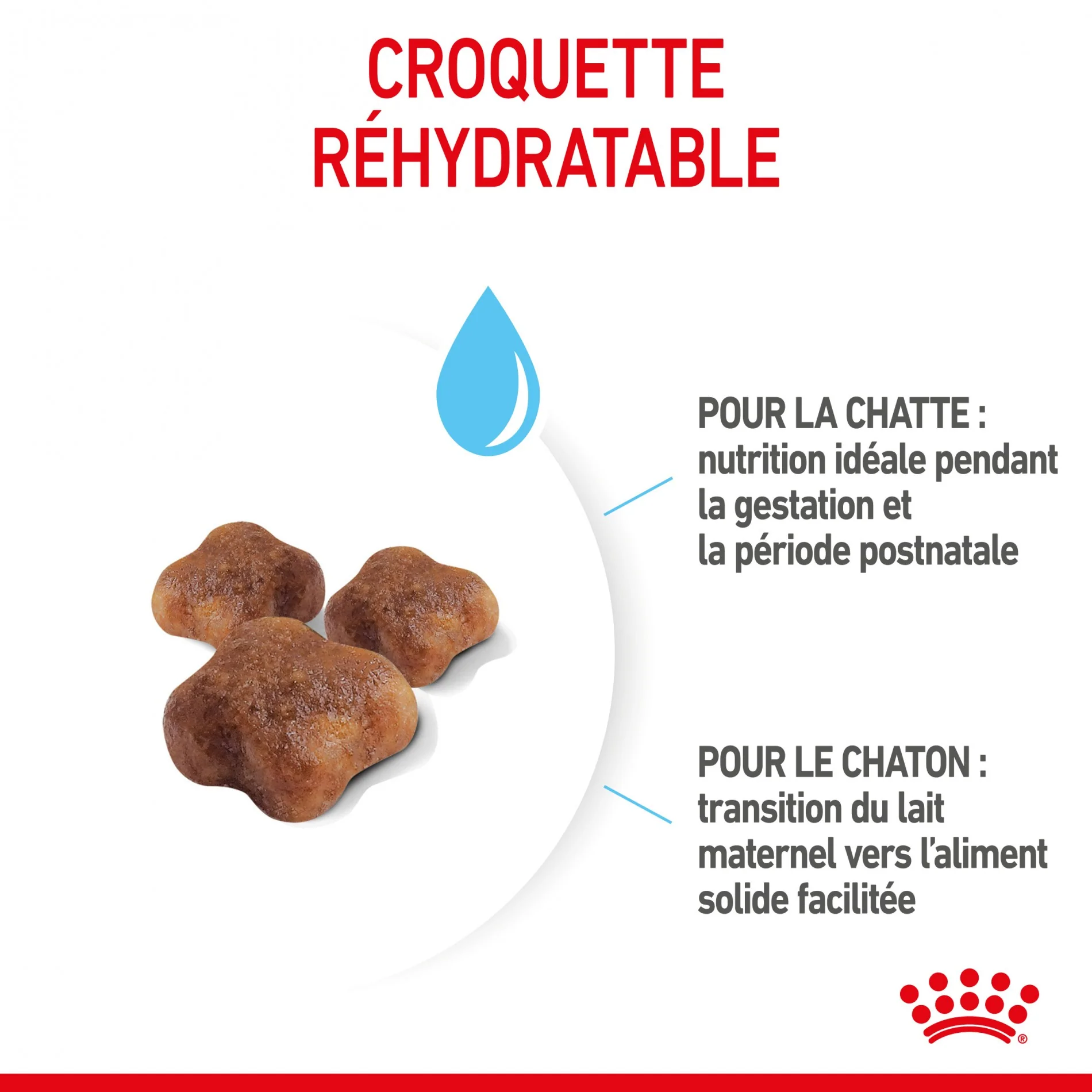 ROYAL CANIN Mother & BabyCat - Croquettes pour chatte et chaton – Image 6