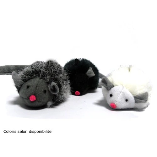 Souris couinante – Image 2