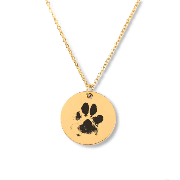 Collier Personnalisé pour Chien – Image 2