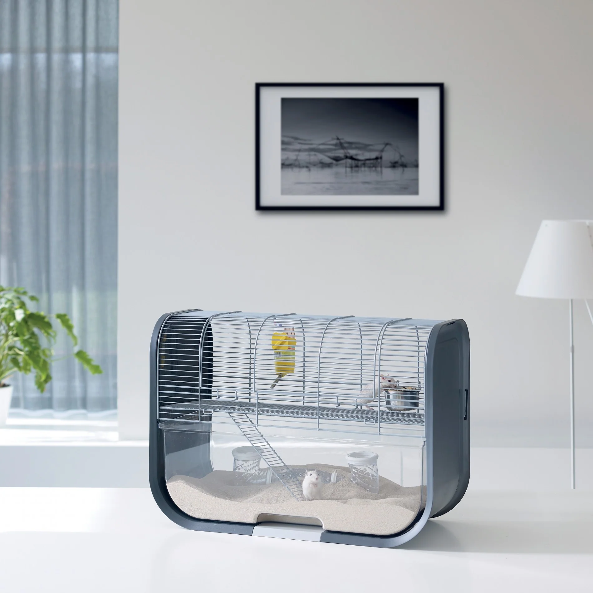 Cage Lugano – Image 3