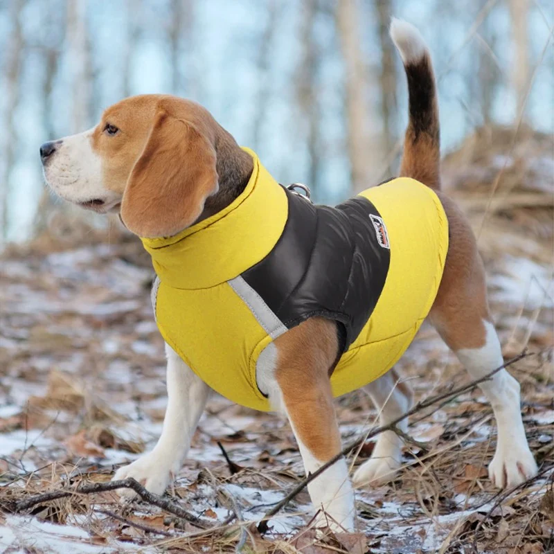 Manteau chien imperméable – Image 2