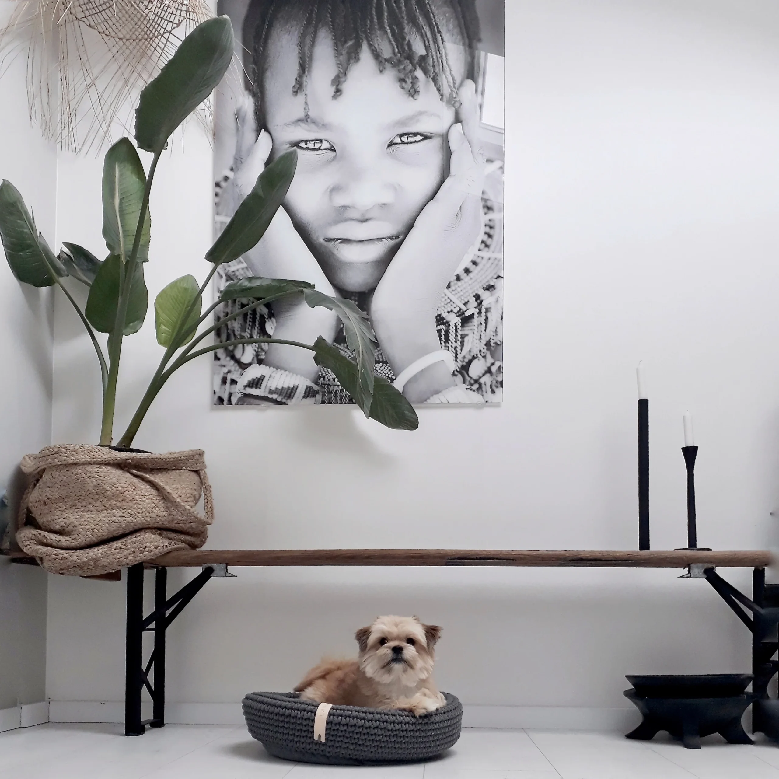 COCO panier – Image 2