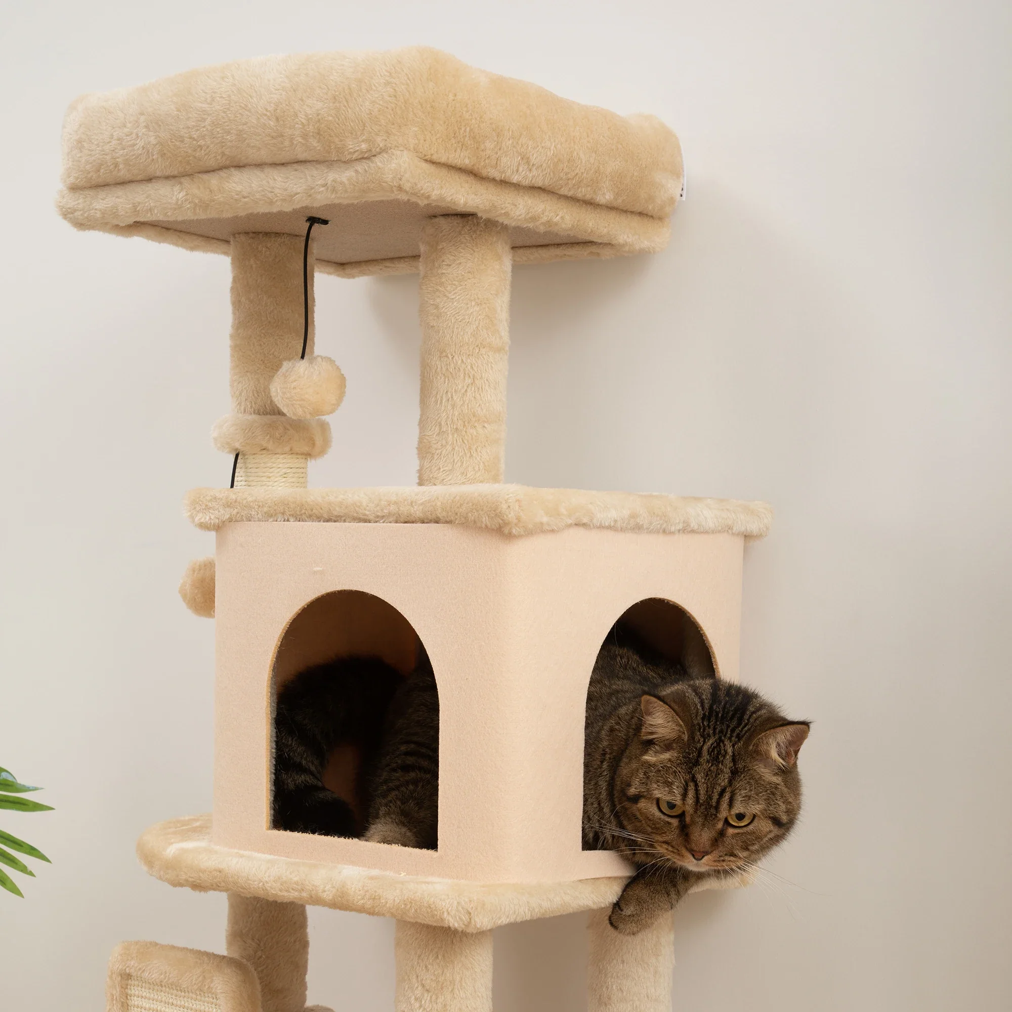Arbre à Chat – Image 5