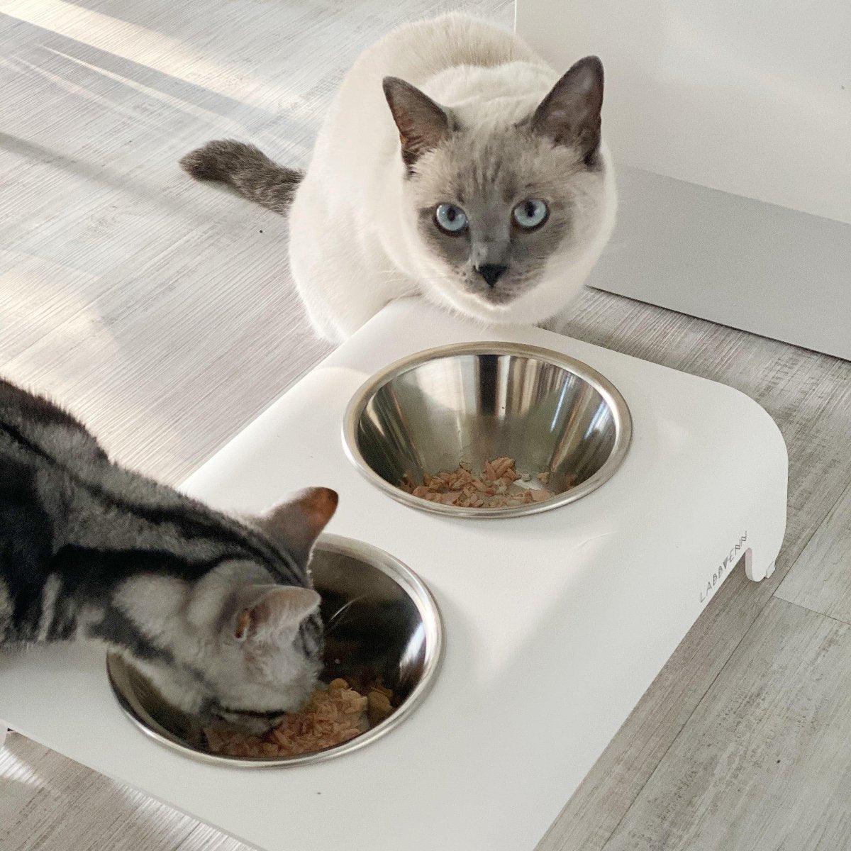 Gamelle design pour chien et chat - RICO – Image 9