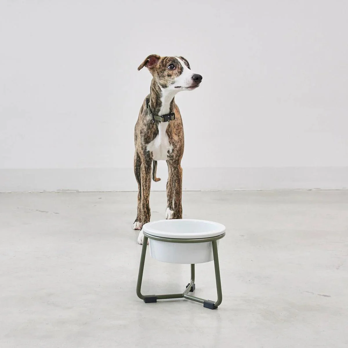 Gamelle pour chien en porcelaine - PRANZO – Image 3