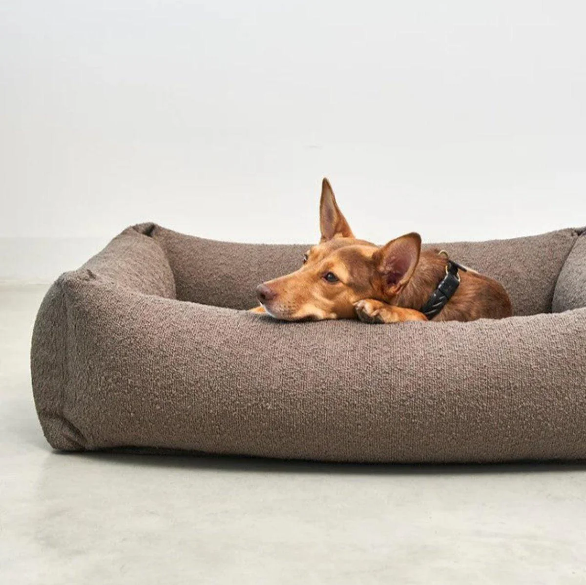 Housse de lit pour chien - MONDO – Image 7