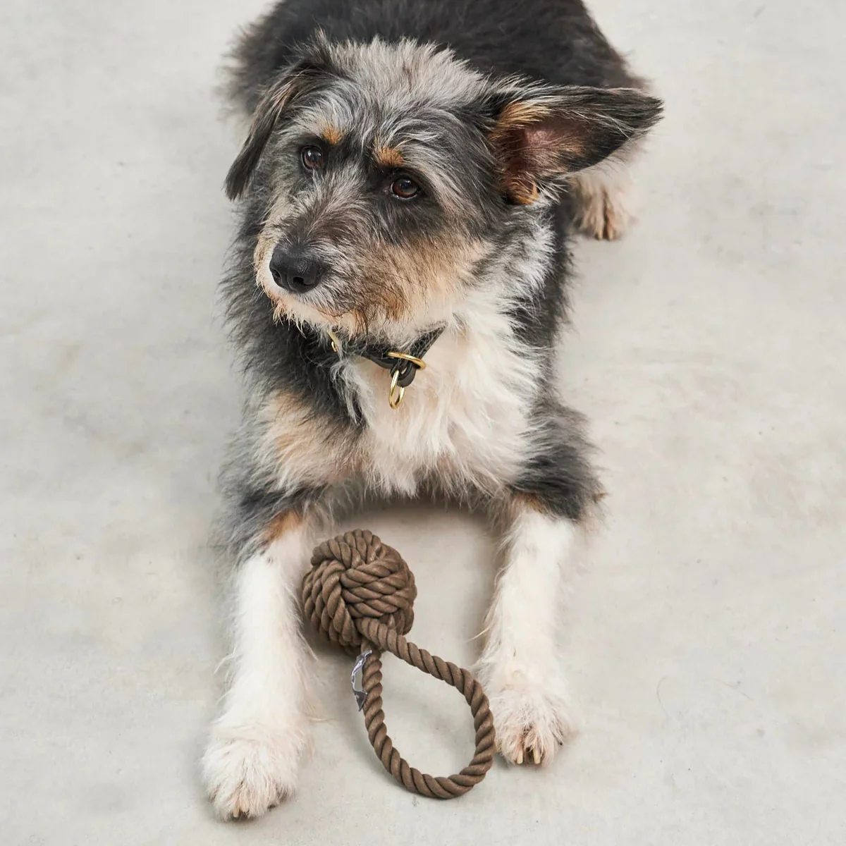 Jouet pour chien en corde de coton (lot de 3) - NODO – Image 3