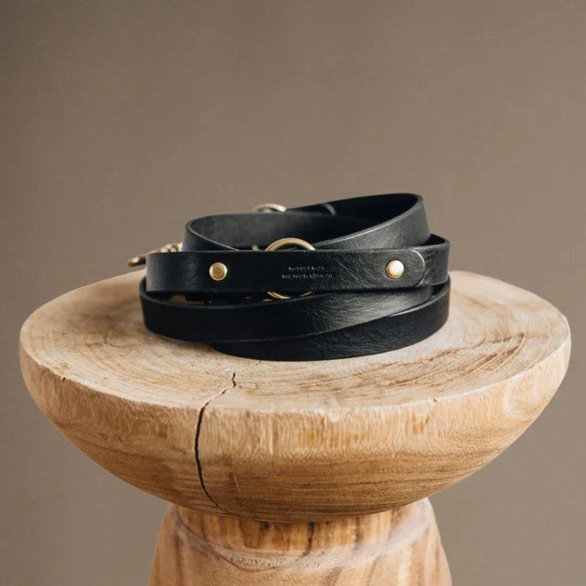 Laisse longue pour chien - LASSO – Image 3