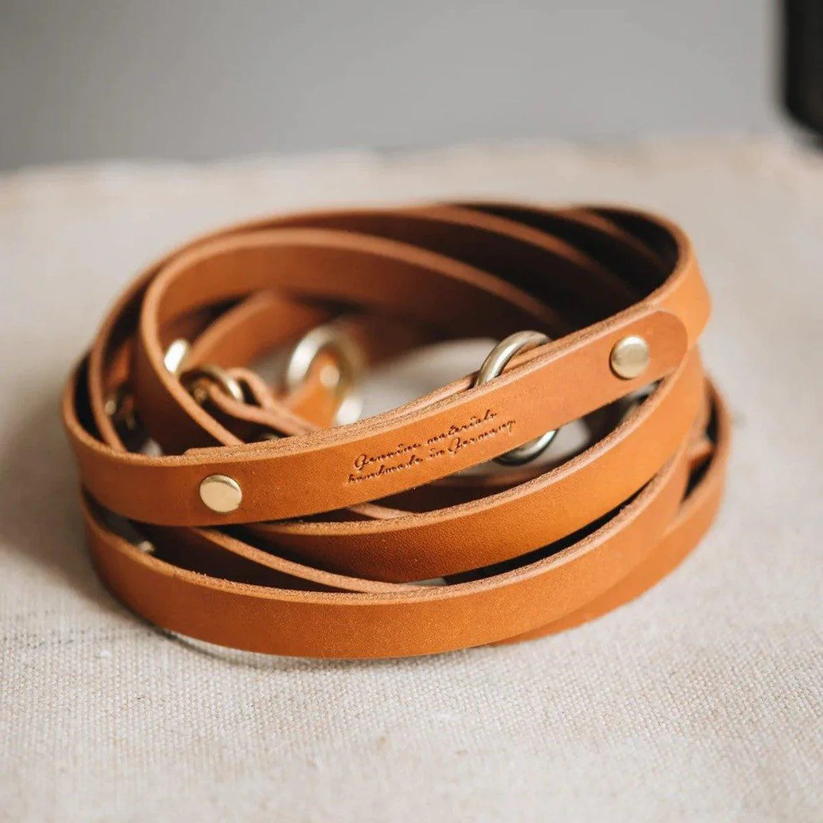 Laisse longue pour chien - LASSO – Image 5