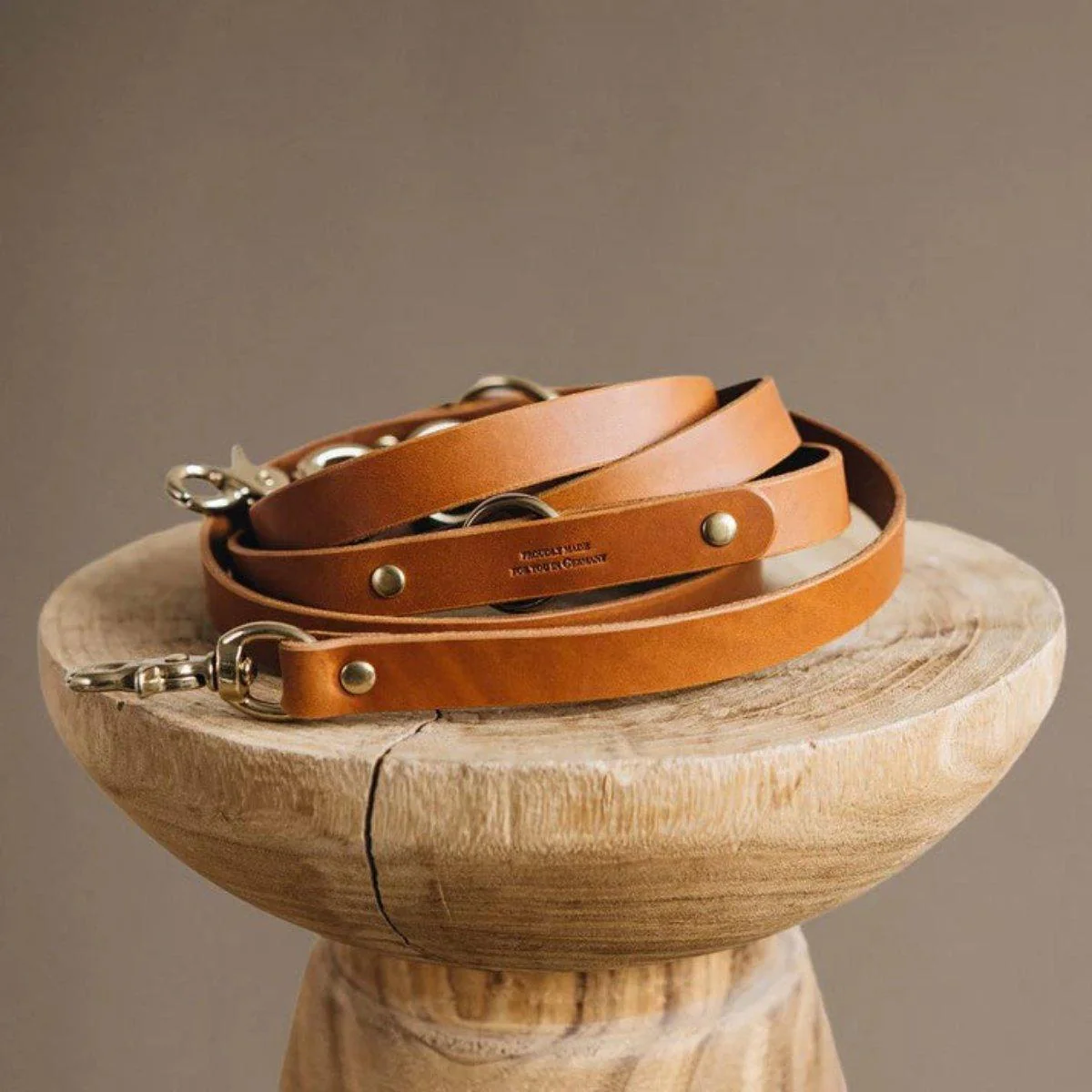 Laisse longue pour chien - LASSO – Image 2
